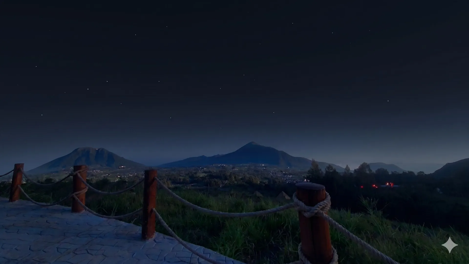 Star-Filled Nights